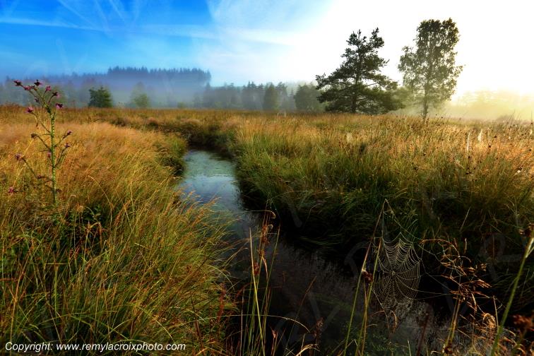 Tourbi�re du Long�roux plateau de Millevaches Corr�ze Limousin France