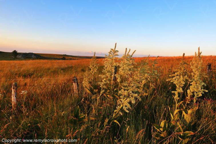 Col de Bonnecombe Aubrac Loz�re Languedoc-Roussillon Occitanie France www.remylacroixphoto.com