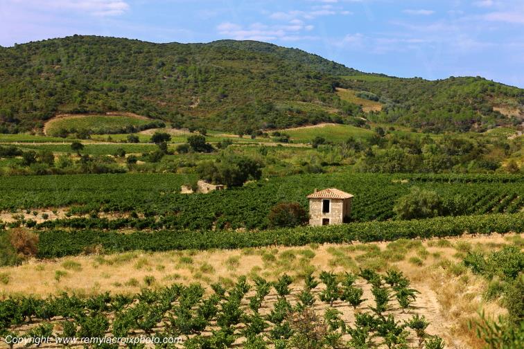 Vignoble du Haut Fitou Corbi�res Aude France