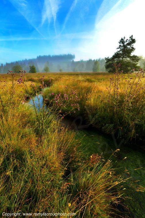 Tourbi�re du Long�roux plateau de Millevaches Corr�ze Limousin France