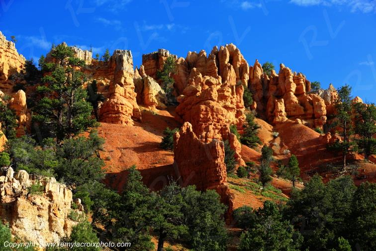 Red Canyon Utah USA www.remylacroixphoto.com