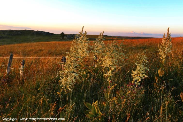 Col de Bonnecombe Aubrac Loz�re Languedoc-Roussillon Occitanie France www.remylacroixphoto.com