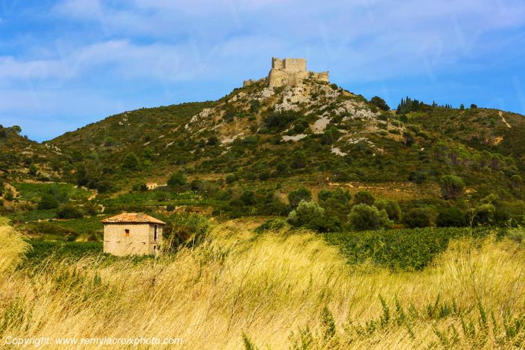 Ch�teau Cathare d'Aguilar vignoble du Haut-Fitou Corbi�res Aude France