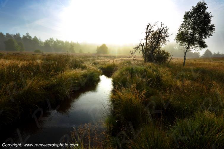 Tourbi�re du Long�roux plateau de Millevaches Corr�ze Limousin France