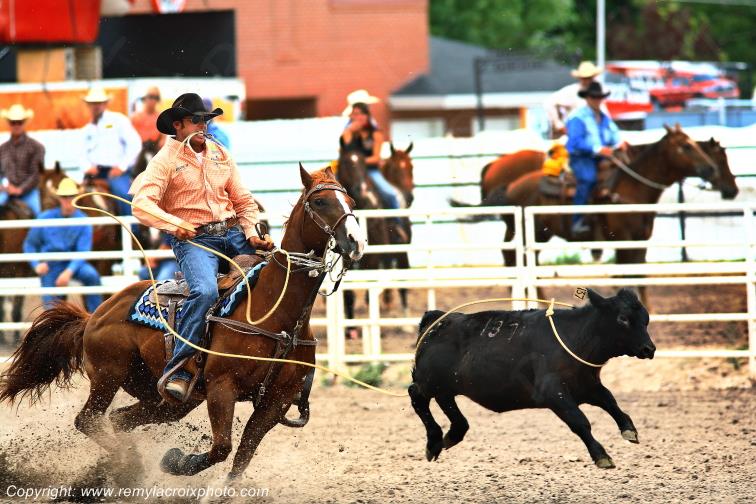 Rodeo Cheyenne Frontier Days Calf Roping Wyoming USA www.remylacroixphoto.com