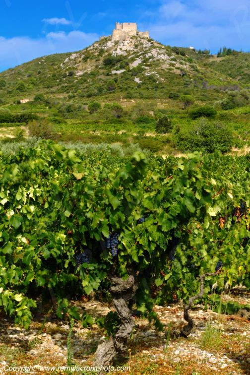 Ch�teau Cathare d'Aguilar vignoble du Haut-Fitou Corbi�res Aude France