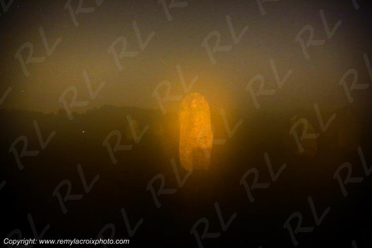 Alignements de Kermario Carnac Morbihan Bretagne France