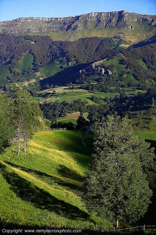 Vall�e de la Jordanne Cantal Auvergne Rh�ne-Alpes France www.remylacroixphoto.com