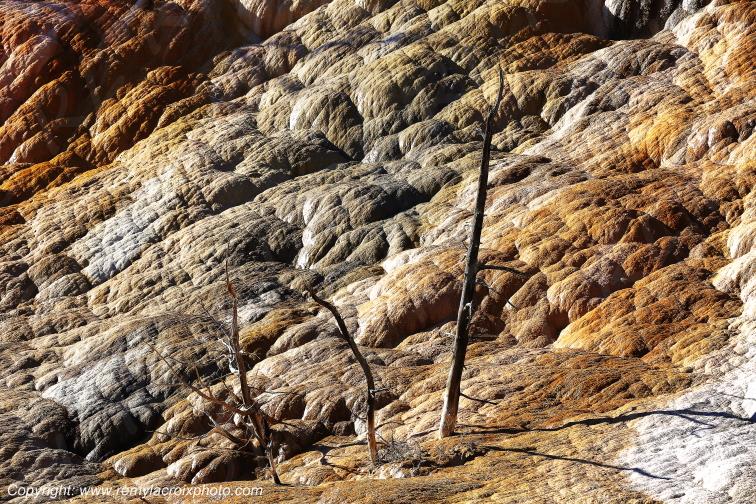 Mammoth Hot Springs Yellowstone National Park Wyoming USA www.remylacroixphoto.com