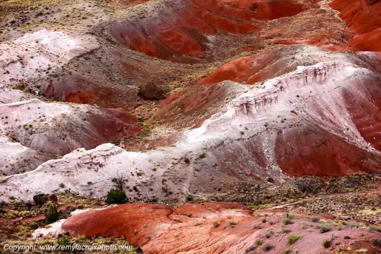 Painted Desert Petrified Forest National Park Arizona USA