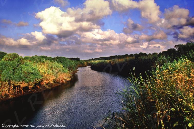 Le Teich l'Eyre bassin d'Arcachon Gironde Aquitaine France www.remylacroixphoto.com