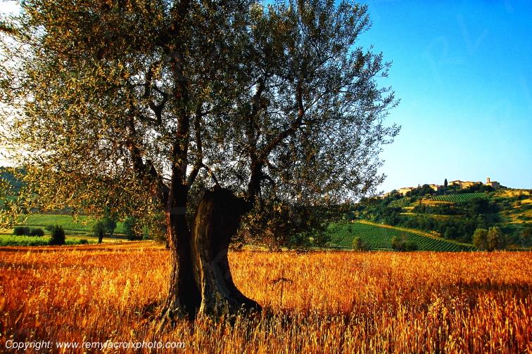Castelnuevo dell Abate Crete Senesi Val d'Orcia Tuscany Italy Toscane Italie www.remylacroixphoto.com