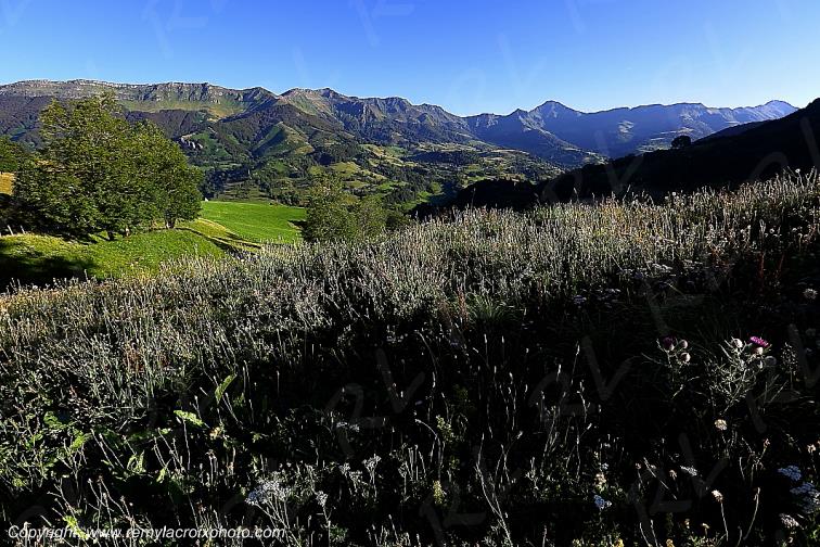 Vall�e de la Jordanne Cantal Auvergne Rh�ne-Alpes France www.remylacroixphoto.com