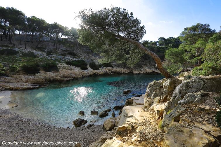 Calanque de Port-Pin Bouches du Rh�ne Provence Alpes C�te d'Azur PACA France www.remylacroixphoto.com