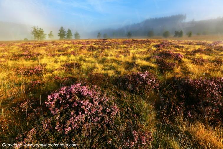 Tourbi�re du Long�roux plateau de Millevaches Corr�ze Limousin France