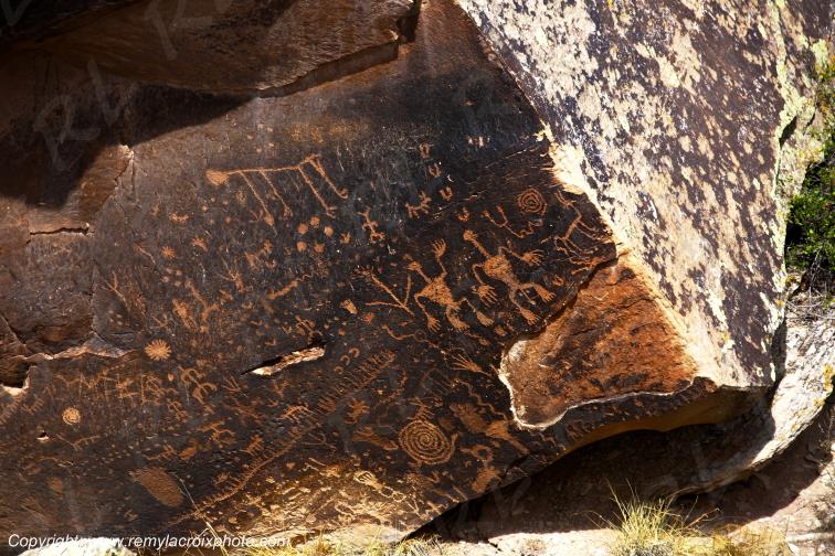 Newspaper Rock Petrified Forest National Park Arizona USA