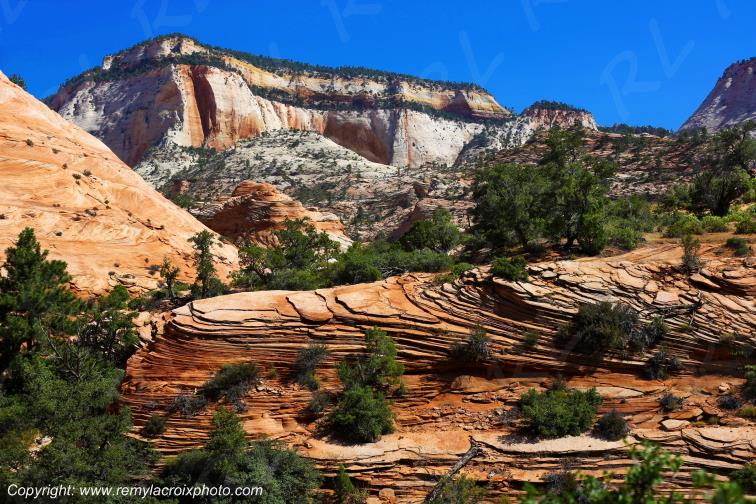 Mount Carmel Highway Zion National Park Utah USA