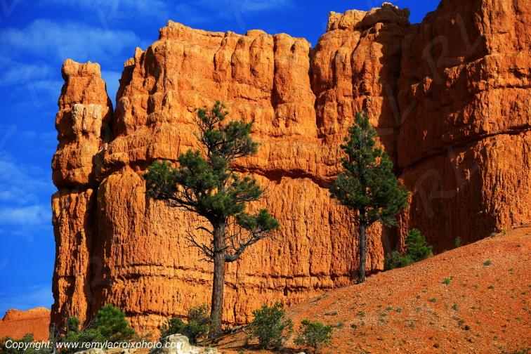 Red Canyon Utah USA www.remylacroixphoto.com