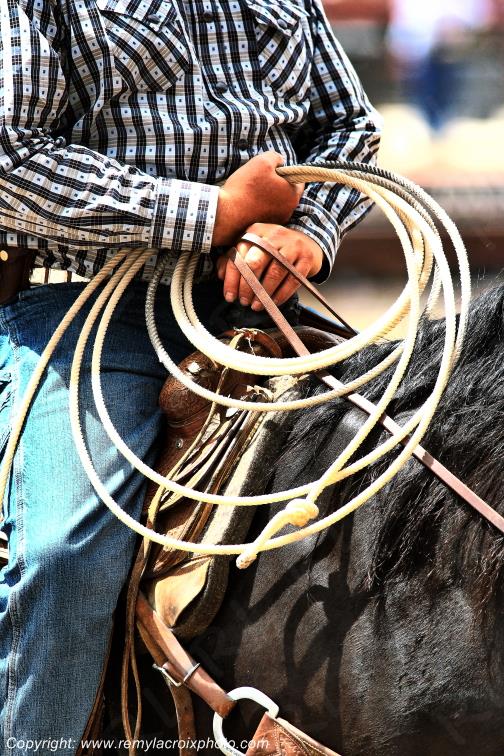 Rodeo Cheyenne Frontier Days Calf Roping Wyoming USA www.remylacroixphoto.com