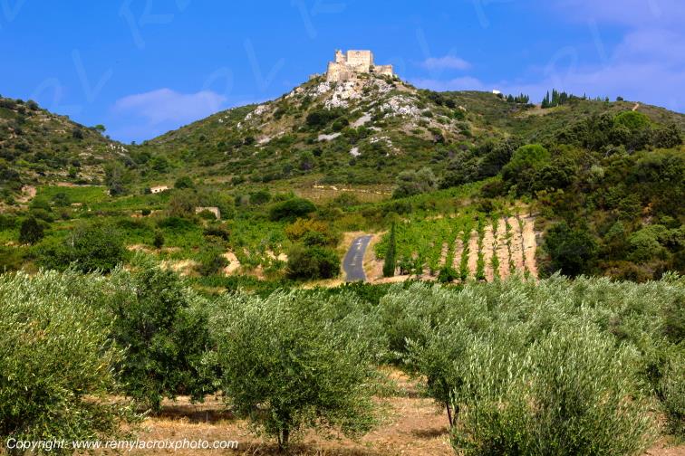 Ch�teau Cathare d'Aguilar vignoble du Haut-Fitou Corbi�res Aude France