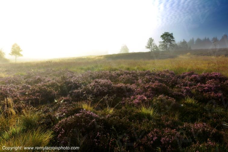 Tourbi�re du Long�roux plateau de Millevaches Corr�ze Limousin France