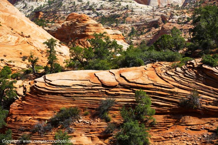 Mount Carmel Highway Zion National Park Utah USA