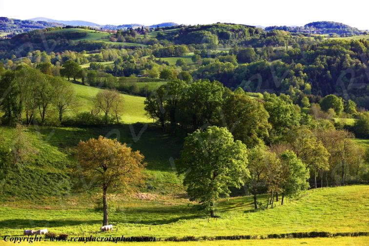 Ch�tel Montagne Montagne Bourbonnaise Allier Auvergne France