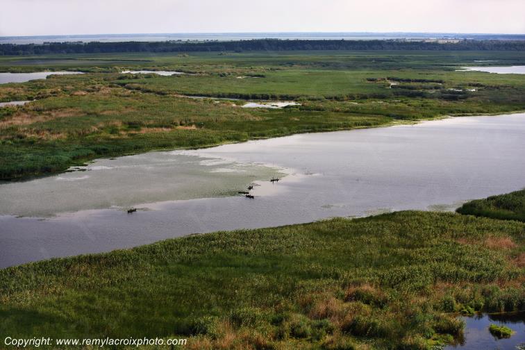 Parche Delta Danube River Romania Roumanie www.remylacroixphoto.com