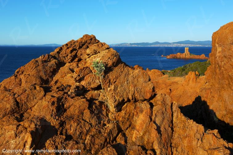Cap du Dramont,�le d'Or,corniche de l'Esterel,C�te d'Azur,Var,France