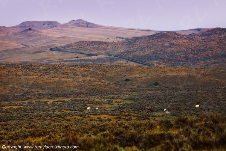 Little Big Horn Custer Battlefield National Monument Montana USA www.remylacroixphoto.com
