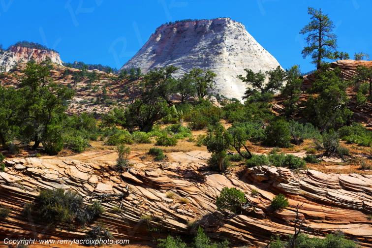 Mount Carmel Highway Zion National Park Utah USA
