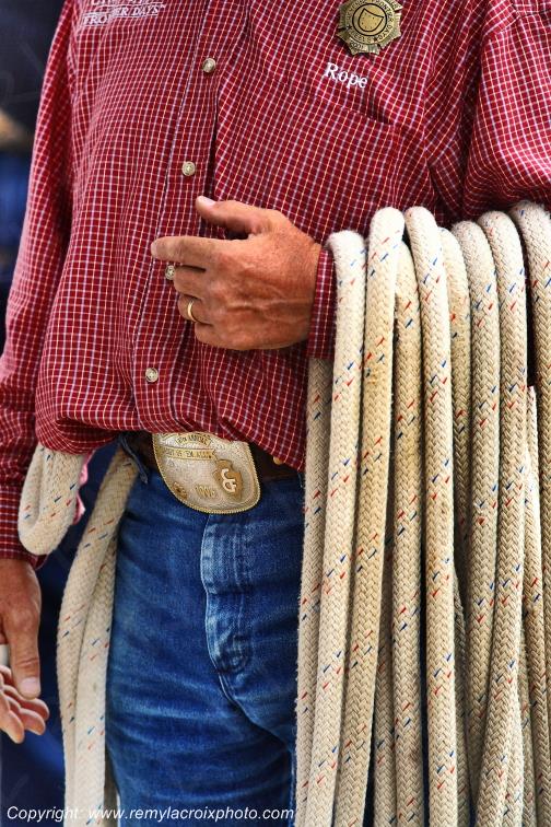 Rodeo Cheyenne Frontier Days Calf Roping Wyoming USA www.remylacroixphoto.com
