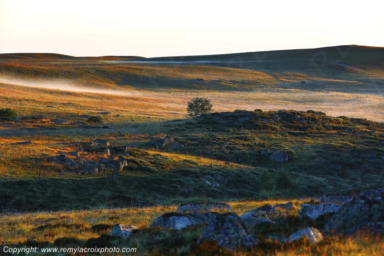 Col de Bonnecombe Aubrac Loz�re Languedoc-Roussillon Occitanie France www.remylacroixphoto.com