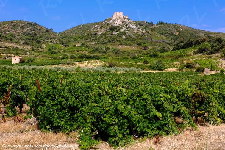 Ch�teau Cathare d'Aguilar vignoble du Haut-Fitou Corbi�res Aude France