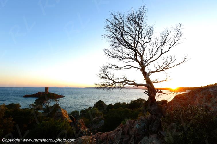 Cap du Dramont,�le d'Or,corniche de l'Esterel,C�te d'Azur,Var,France