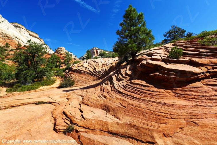 Mount Carmel Highway Zion National Park Utah USA