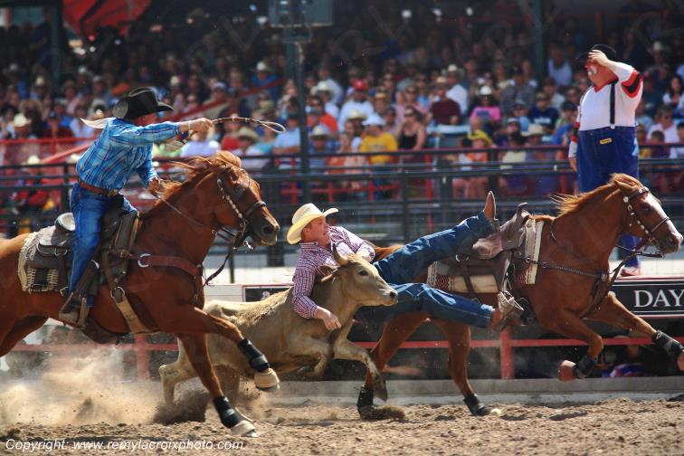 Rodeo Cheyenne Frontier Days Steer Wrestling Wyoming USA www.remylacroixphoto.com