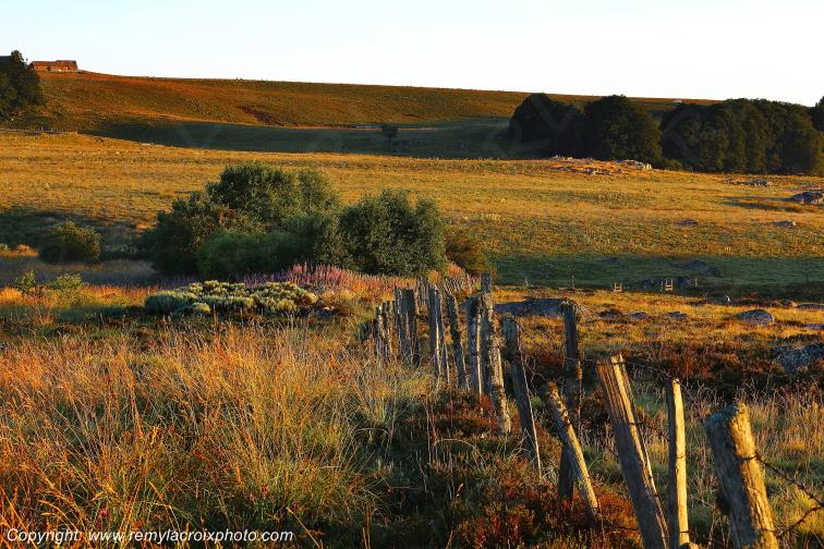 Col de Bonnecombe Aubrac Loz�re Languedoc-Roussillon Occitanie France www.remylacroixphoto.com