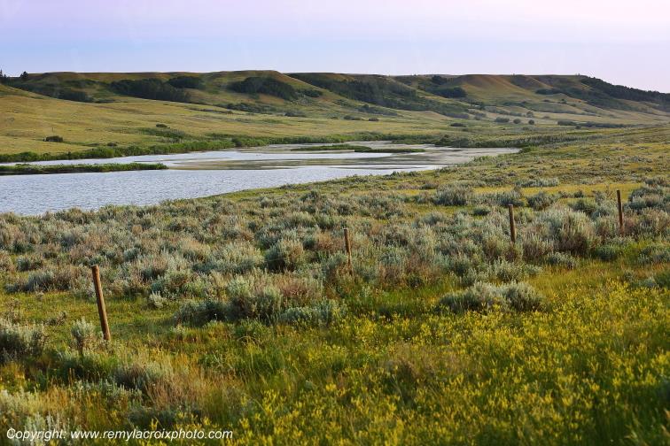 Cypress Lake Great Plains Grandes Plaines Saskatchewan Canada www.remylacroixphoto.com