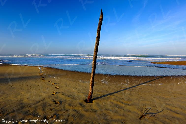 Plage du Vieux Phare C�te Sauvage Charente-Maritime France