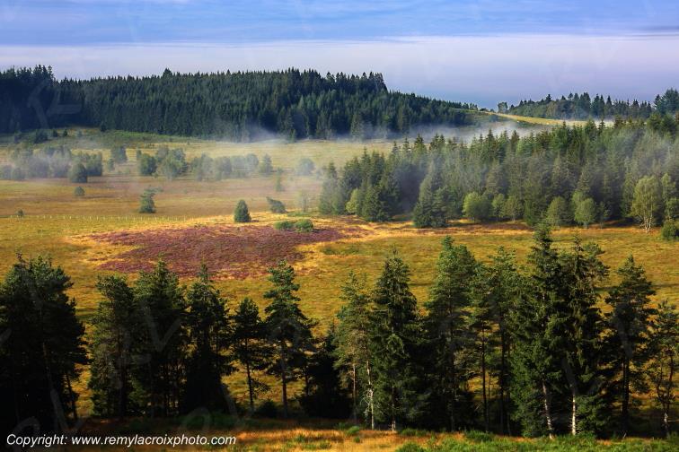 Tourbi�re du Long�roux plateau de Millevaches Corr�ze Limousin France