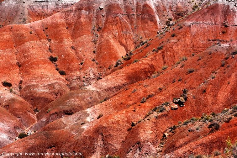 Painted Desert Petrified Forest National Park Arizona USA