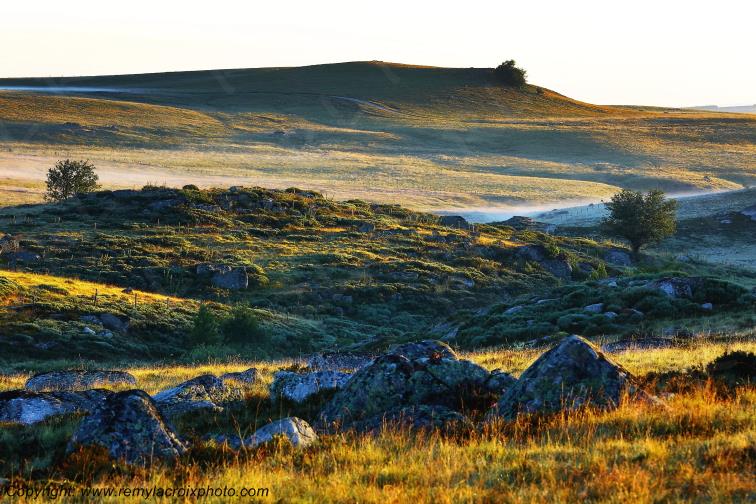 Col de Bonnecombe Aubrac Loz�re Languedoc-Roussillon Occitanie France www.remylacroixphoto.com