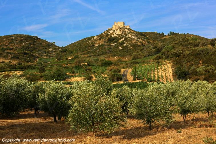 Ch�teau Cathare d'Aguilar vignoble du Haut-Fitou Corbi�res Aude France