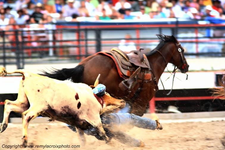 Rodeo Cheyenne Frontier Days Steer Wrestling Wyoming USA www.remylacroixphoto.com