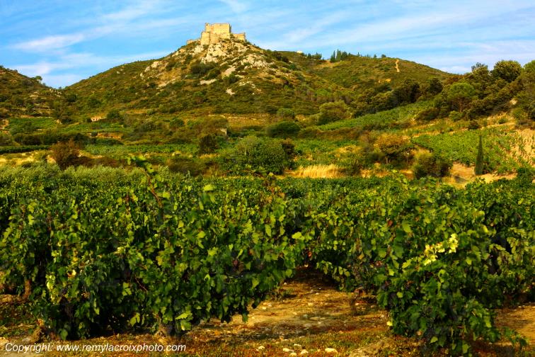 Ch�teau Cathare d'Aguilar vignoble du Haut-Fitou Corbi�res Aude France