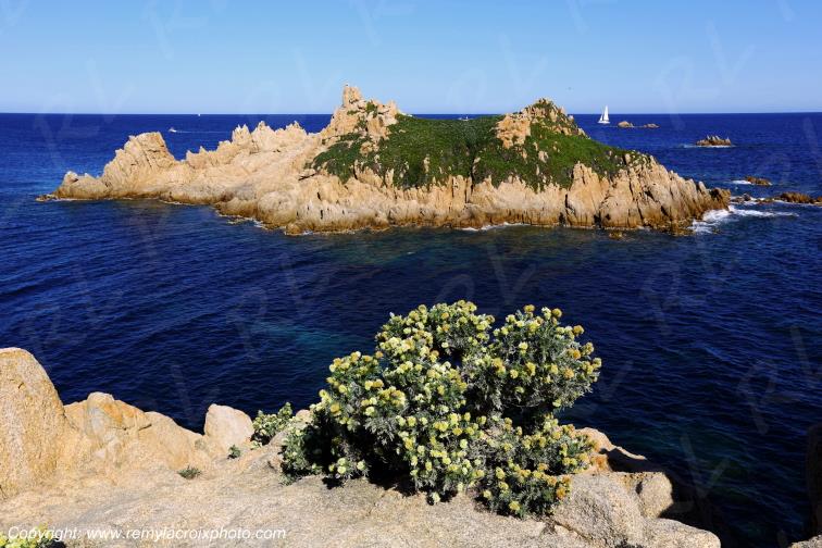 Cap Camarat,Presqu'�le de Saint-Tropez,C�te d'Azur,Var,France