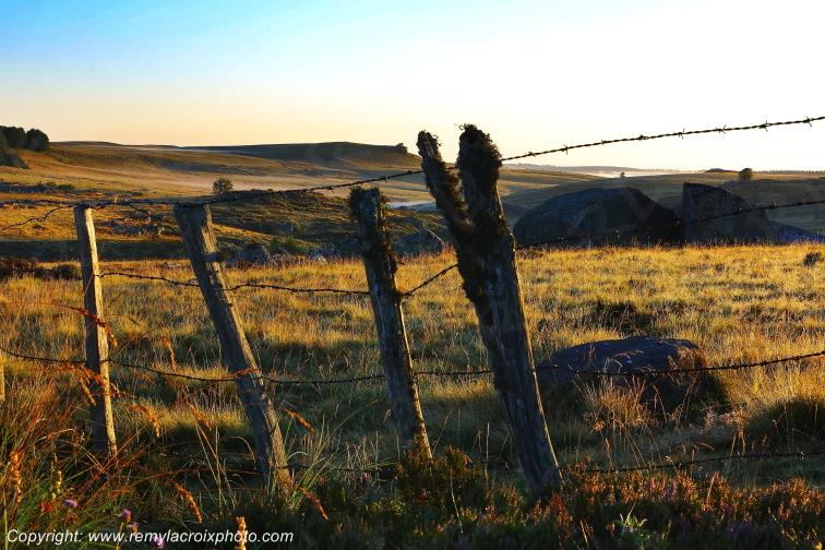 Col de Bonnecombe Aubrac Loz�re Languedoc-Roussillon Occitanie France www.remylacroixphoto.com