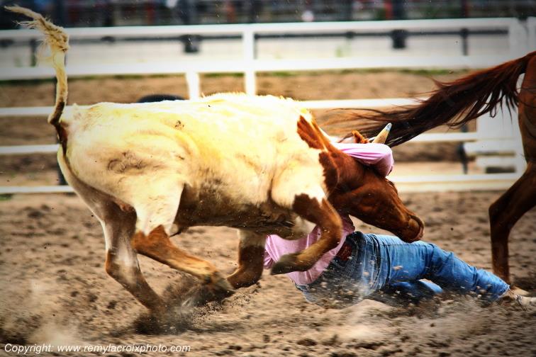 Rodeo Cheyenne Frontier Days Steer Wrestling Wyoming USA www.remylacroixphoto.com