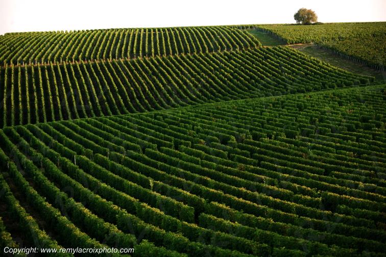 Sancerrois Cher Berry Centre Val de Loire France
